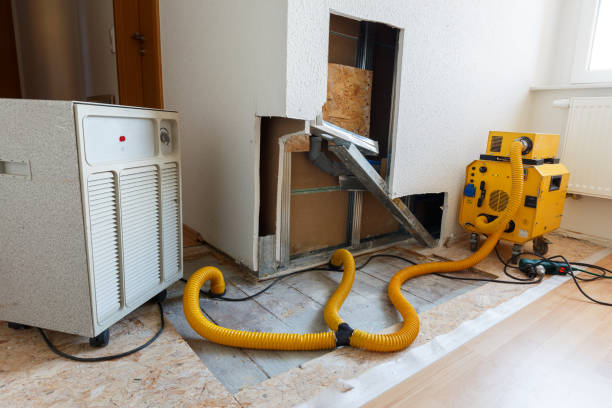 Dehumidification Services in Coalfield, TN